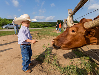 Hoogtepunten van Texas